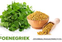 Foenegriek
