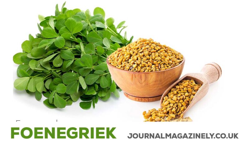 Foenegriek