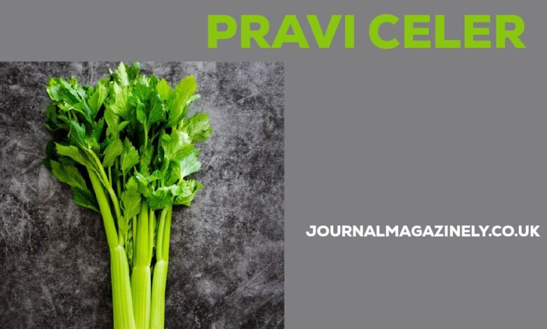 Pravi Celer