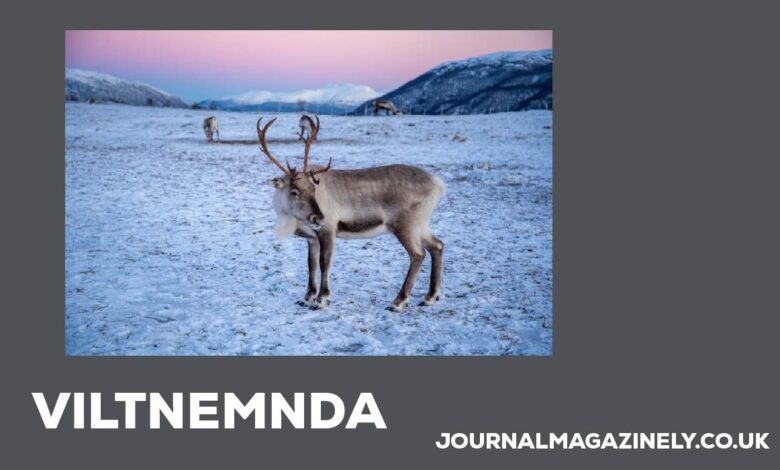 Viltnemnda